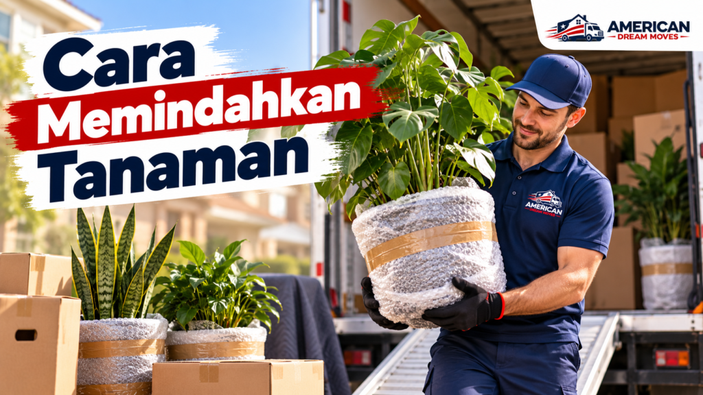 Tanaman pot yang dilindungi dan dipindahkan dengan hati-hati bersama kardus pindahan